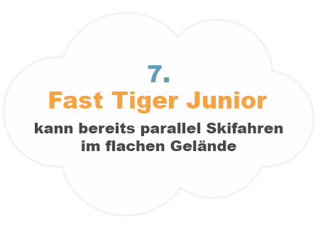 Fast Tiger Junior