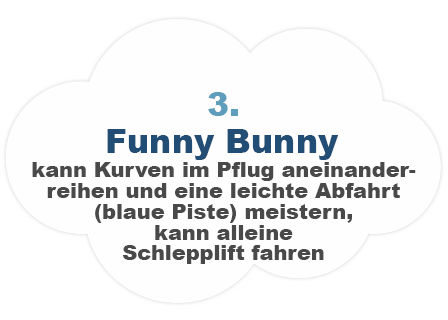Funny Bunny