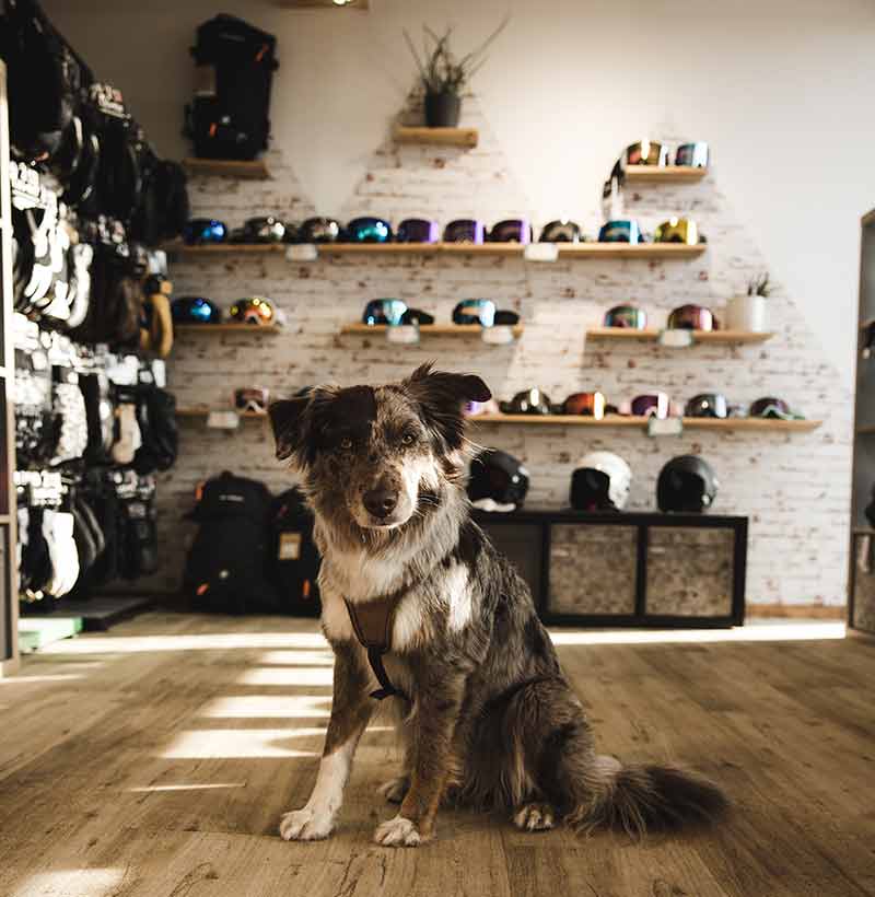 Shop für Ski und Zubehör in Tulfes